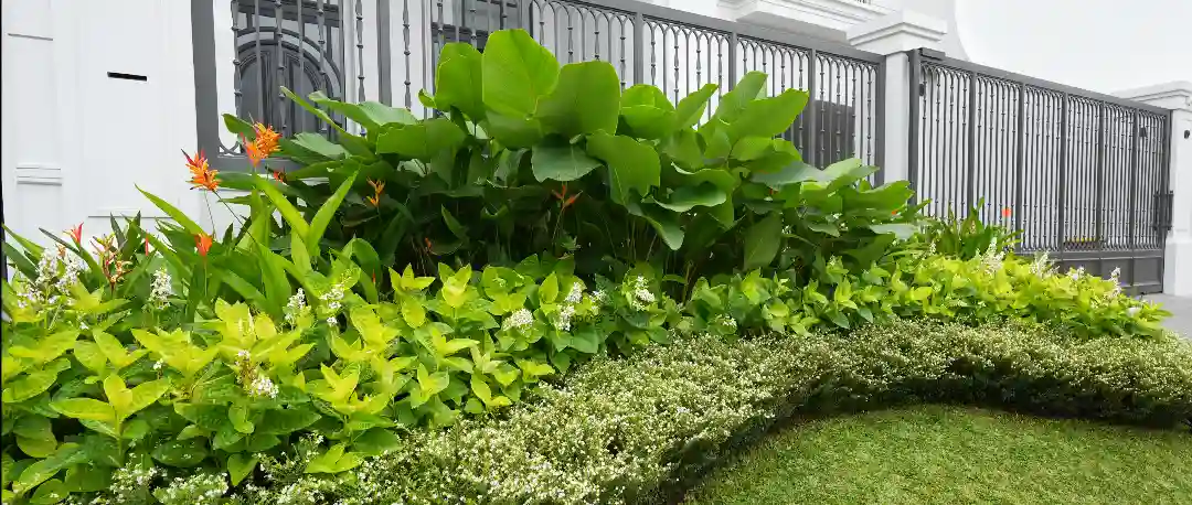 Perawatan Taman Profesional oleh Indoscape Garden