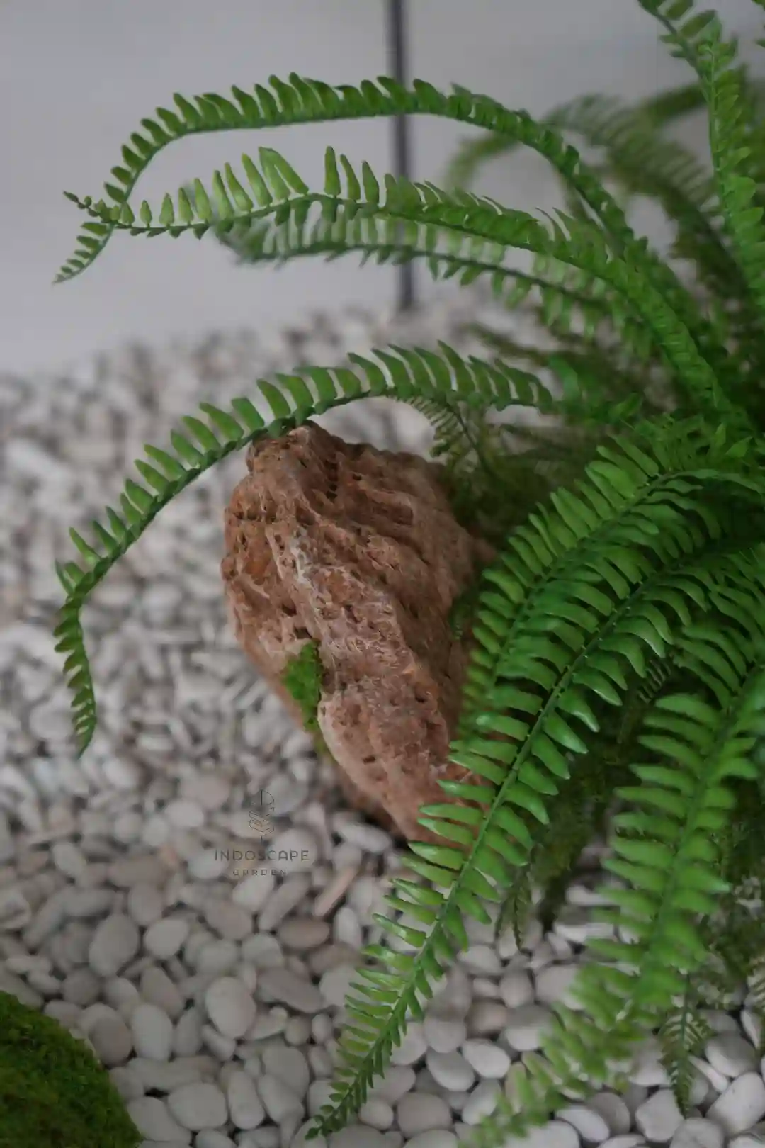 Inspirasi Konsep Taman Jepang untuk Hunian Modern yang Elegan